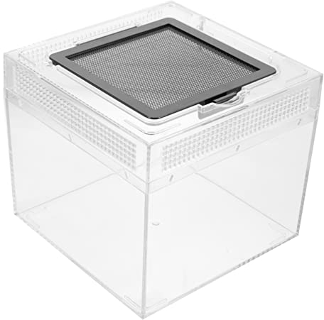 Mipcase Terrarium Für Schnecken Critter Keeper Box Für Eidechsen Isopoden Behälter Eidechsen Lebensraum Züchter Behälter Tragbar Zuchtkäfig Häuser Schildkröte Transparent Gehegepfleger