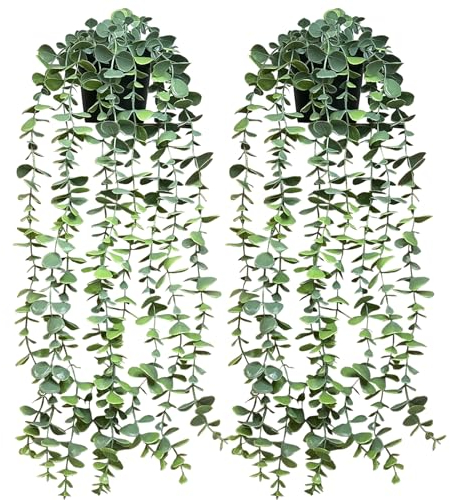 Künstliche Hängepflanze,Künstlicher Eukalyptus, Kunstpflanze Eukalyptus Blätter im Topf, Wartungsfreie Plastik Hängepflanzen Rebe für Wand Küche Veranda Hängekorb Dekoration (2pcs)