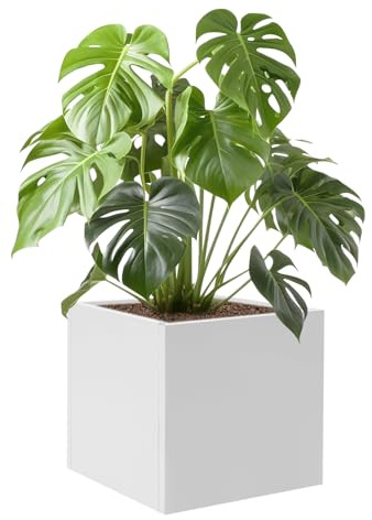 WOLEGM Petit pot de fleurs, carré, pour l'intérieur et l'extérieur, 60 x 60 x 60 cm, blanc