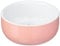 Nobby Gamelle en céramique pour rongeurs - Saumon et Blanc - Diamètre 11 cm x 4,5 cm