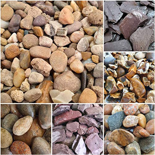 Elixir Gardens Decorative Coloured Stones Pebbles Cobbles Slate Paddlestones Gravel Chippings Aggregate Various Sizes 1kg-1000kg | (5kg, Pea Gravel 10mm)