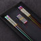 TIICOO Baguettes Réutilisables Lot de 2 Paires Baguettes Japonaises en Acier Inoxydable avec Support,Style Léger,Ensemble Cadeau de Baguettes de Style Japonais Lavables au Lave-Vaisselle(Rainbow)