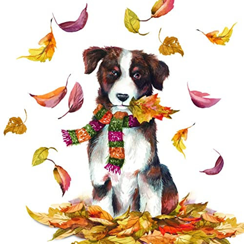 IHR Ideal Home Range - Papierservietten DOG HAVING FUN 20 St. Lunch-Servietten 33 cm x 33 cm