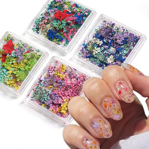 Mezrkuwr 4 Box 3D-Nagelkunst-Aufkleber mit getrockneten Blumen, bunte Trockenblumen für Nägel-Set – DIY-Mini-Mix-Blütenblätter-Nagelaufkleber, natürliche Blumen