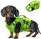 Qeenmore Giubbotto Salvagente Cane Taglia Piccola - S Verde, Ripstop, Con Maniglia Di Salvataggio, Per Chihuahua, Yorkie