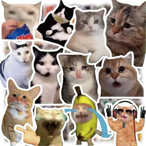 100 Stück Lustige Meme Sticker Set, Wasserfeste Katzen Aaufkleber, Meme Aufkleber für Auto Laptop Skateboard Fahrrad Moped Motorrad Fahrrad Computer,Geeignet für Erwachsene Kinder