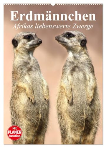 Erdmännchen - Afrikas liebenswerte Zwerge (Wandkalender 2026 DIN A2 hoch), CALVENDO Monatskalender: Die talentierten Bluffer und Buddler aus Südafrika (CALVENDO Tiere)