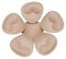 TopBine BH Cups Bikinis Pad Bra Einlagen Push- up zum einnähen, Herausnehmbaren Sport BH, Dreieckige Form (3 pairs beige)