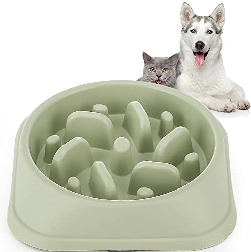Vealind Slow Feeder Dog Bowls for Medium & Small Dogs, Slowing Down Eating Speed Preventing Obesity Pet Healthy Feeding Bowl (Green)