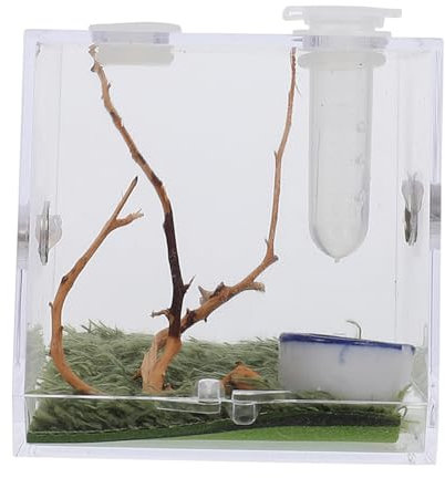 MILISTEN Terrarium Insekten 3 Sätze Springspinnen-zuchtbox Insektenhäuser Mini Terrarium Insektenhaus Lebensraum Geckos-käfig Mini-luftbefeuchter Tier Insekten Lebensraum Spinnenkäfig Acryl