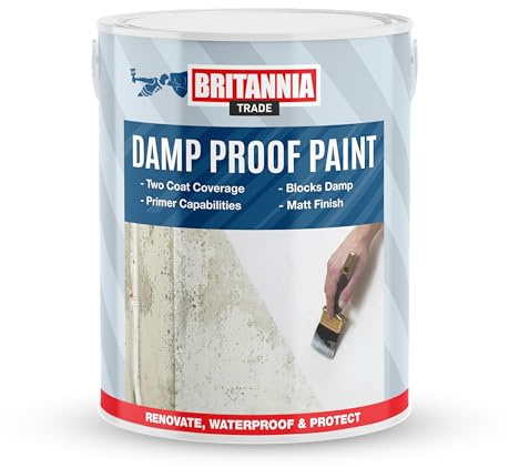 AQUASHIELD Britannia Paints Damp Proof Paint Light Grey 2.5 Litres - Blocks Damp - Incorporates a Water Reactive Agent