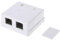 DABAIXIONG Cat5e RJ45 Keystone Jacks Perfil Ethernet Down Cat5e Keystone Module Conector para Placa Pared