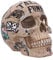Nemesis Now Natural Bone Coloured Traditional, Tribal Fund Skull Natürlicher Knochen-Tattoo-Fondschädel, Polyresin, Knochenfarben, 1.25 picometer, Einheitsgröße, B5110R0