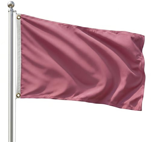 DMSE Solide Blanko-Flagge, 90 x 152 cm, UV-beständig (3 x 5 Nylon, Rosa)