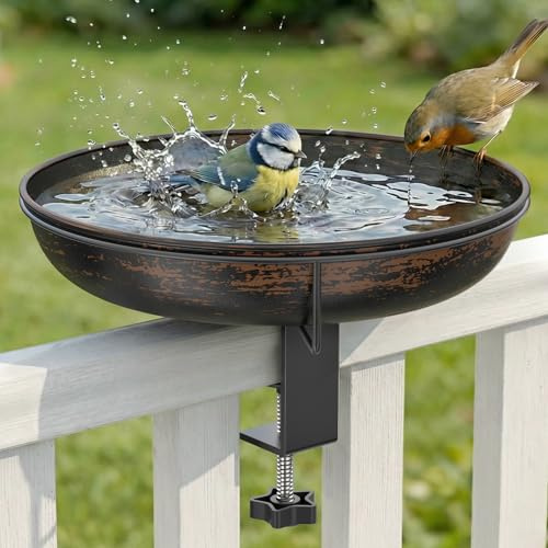 WELDUN Bagno Sospeso per Uccelli per Ringhiera di Balcone, Diametro 26 cm Bagno per Uccelli in Metallo per Balcone, Grande Capacità Bagno Antico da Giardino per Uccelli Selvatici, Ciotola per Cibo e