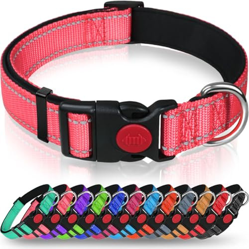 Taglory Collier pour Chien, Collier en Nylon Réfléchissant Réglable Classique avec Rembourré Doux Respirant Mesh pour Grands Chiens, L, Rose