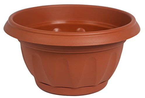 Seat Flor Bol pot avec réserve d'eau, pot rond avec réserve d'eau, pot de fleurs (40 cm., cuit)