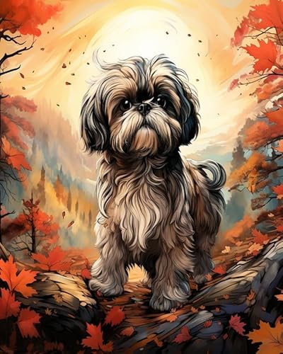 DIY Paint by Number for Adults Kids Beginner,A Very Beautiful Dog of The Shih Tzu in The Forest,Painting by Number Oil Painting with Brushes and Acrylic Pigment,40x50cm,Without Frame