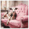Süße Kuh auf rosa Couch Poster von Ryley Gray 30 x 30 cm Pastell Tiere Wanddeko