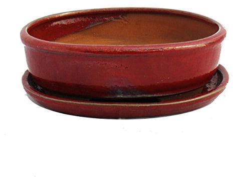 Exotenherz - Bonsai-Schale mit Unterteller Gr. 8 Zoll - rot - oval - Modell O3 - L 21cm - B 16cm - H 6cm