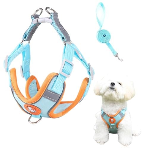 Hundegeschirr für Hunde,Hundegeschirr Kleine Hunde,Verstellbare Reflektierende Welpengeschirr,Brustgeschirr Hund,XS (Blau)