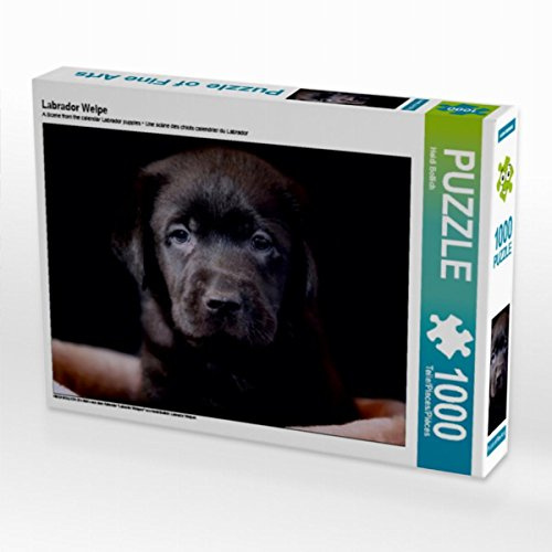 Puzzle · Labrador Welpe | Ein Motiv aus dem Kalender Labrador Welpen von Heidi Bollich… · 1000 Teile · Lege-Größe 64 × 48 cm · CALVENDO Puzzle