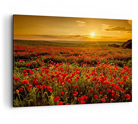 Bilder auf Leinwand 100x70cm Leinwandbild mit Rahmen Mohn Blume Wiese Groß Wanddeko Bild Schlafzimmer Küche Deko Wandbilder Dekoration Wohnzimmer Wall Decor Canvas Wand Kunstdruck Art AA100x70-3643