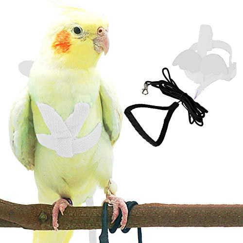 Haustier Papagei Vogel Geschirr und Leine, Verstellbares Trainingsdesign Anti-Beiß, Vogel Nylon Seil mit süßem Flügel für Papageien, Geeignet für Alexandrin, Keck, Mini Ara Gleiche Größe Vögel (Weiß)