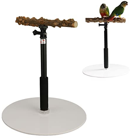 Vogel Spiel Ständer, einstellbare Höhe Papagei Training Barsch Stand, 11.8in-37.0in, Naturholz Papagei Stand Plattform, tragbare abnehmbare Papagei Spiel Stand für Nymphensittiche, Unzertrennliche