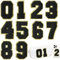 10 Pcs Large Black 3 Inch 0-9 Chenille Number Patches, Iron on Numbers for Fabric and Clothing, Glitter Embroidery Varsity for Letterman Jacket, Backpacks Hats, Sew or Iron on