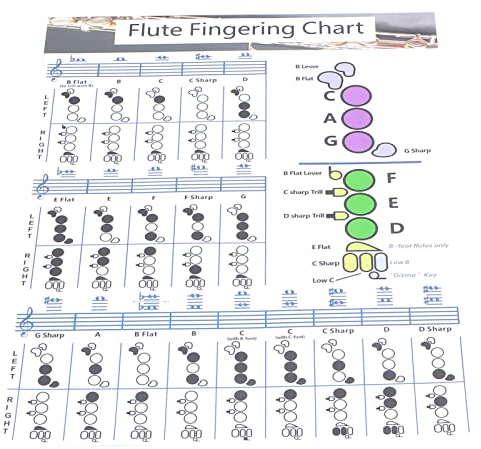 Flöten-Akkordtabelle, Tragbare Flöten-Griff-Akkord-Tabelle, Beschichtetes Papier, Flöten-Griff-Übungstabelle, Anfänger, Schüler, Übung, Lehrmittel, (Flötengrifftabelle für