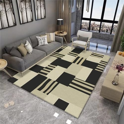 RUGMRZ Tappeto Lavanderia Semplicità geometrica moderna Short Pile antiscivolo e lavabil 200X250CM