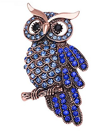 AiSi Eule Brosche, Strass Brosche, Tier Form Brosche mit Anstecknadeln, Eule Brosche Pin, Männer Vintage-Schmuck Eulenschmuck Für Pullover Schal Party Hochzeit, Blau
