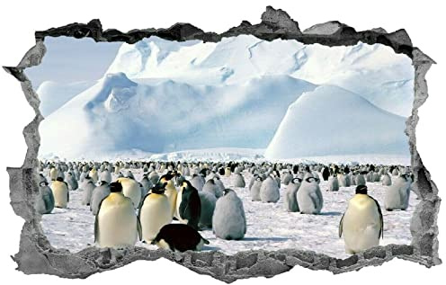 3D Look Wandtattoo Wand Durchbruch Wandbild Sticker Aufkleber Wandaufkleber, Pinguine,selbstklebend Schlafzimmer Wohnzimmer Kinderzimmer 80x120cm