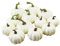 Kürbis Herbst Deko, Herbstdekorationen, Halloween künstliche Mini Kürbisse Schaum weiß Thanksgiving Herbst Harvest Kürbisdekorationen Prop 12pcs