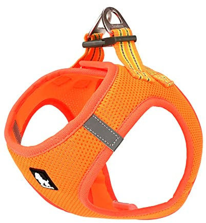 Truelove Step-in Lightweight Air Mesh Small Dog Harness, Orange, L | Breathable, Adjustable Hook-Loop Closure, Triple Security Lock, No-Choke, Reflective, Fits Small Pets, Daily Walking, TLH3015