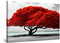 Startonight Impression sur Toile - Tableau Rivière Arbre Rouge - Grande Tableau Decoration Murale Prêt à Accrocher Peinture Arbres Moderne Grande 80 x 120 cm Idée Cadeau Élégante et Originale