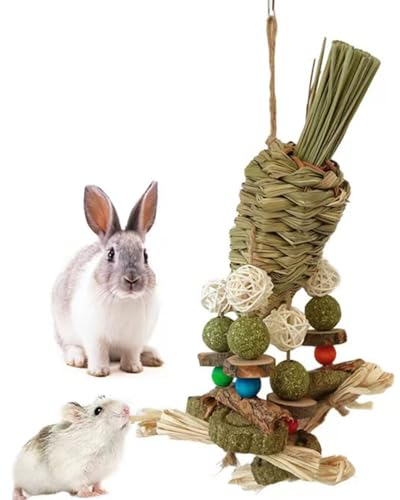 Kauspielzeug für kleine Haustiere , Kaninchenkäfig Hängespielzeug mit Grasball Karottenspielzeug für Kaninchen, Chinchilla, Meerschweinchen, Hamster, Zähneknirschen