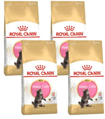 Maine Coon Kitten | Trockenfutter für Kätzchen | 4 x 400 g | Mit Vitamin E | Royal Canin | Alleinfuttermittel | Für Babykatzen bis 12 Monate | 4er Pack