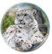 Deluxebase Magnidome Snow Leopard Fridge Magnet – Crystal Glass Dome Animal Magnets for Fridges, Decorative Strong Magnet for Kitchen Accessories, Novelty Gifts and Cute Home Decor.