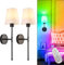 Depuley Battery Operated Wall Sconce: Black Set of 2 Wireless Wall Lights for Bedroom - Rechargeable 15 Colors Wall Lamp for Living Room
