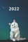 Taschenkalender 2022 A6: 1 Woche auf 2 Seiten, Mini Tagesplaner und Wochenkalender mit praktischer Jahresübersicht im Katzen Design (Mini Wochenplaner)