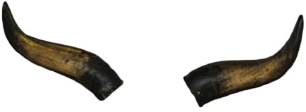 Rinderhörner ca. 30cm - naturgetreue Kunsthörner von Motes Masken, handgefertigt, robust & leicht – Ideal für Krampus, Perchten, Partys & Themenveranstaltungen und Deko (Rind 1)