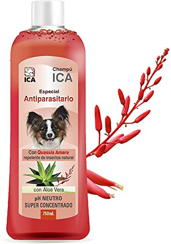 ICA chpm20 antiparásitos mit Aloe Vera Shampoo für Hunde