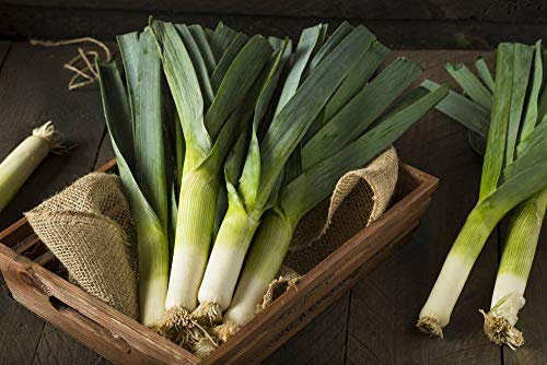 Semi di aglio Scalogno sempreverde Cipolla bianca lunga Giardino Verdura Foglia biologica Semi freschi per piantare 10g Circa 3000 + Interno o esterno per condimento piatto da cucina a pesce