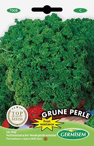 Germisem Grune Perle Semillas de Perejil 3 g