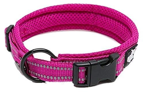 WINHYEPET Dog Collar Reflective with Safe Adjustable Buckle(Fushcia,S) | Truelove Dog Collar Reflective Sandwich lining Nylon Webbing Comfortable,convenient used for walking for Samll/Medium/Large