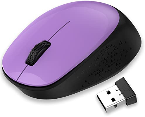 LeadsaiL Mouse Wireless, Silenzioso Mouse Senza Fili per PC Portatile, Ergonomico 2,4 GHz USB Mouse, 1600 DPI, Compatto, Smooth Tracking per Chromebook, Mac, Computer, Notebook - Viola