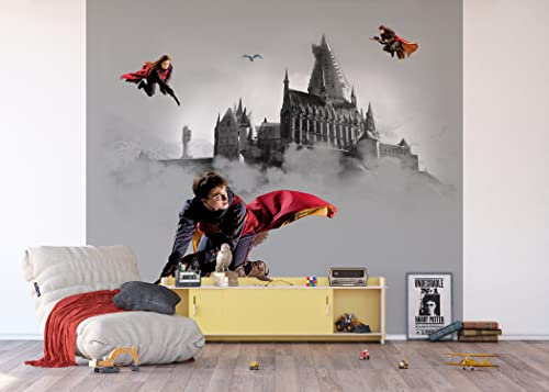 AG Design Harry Potter ADTD4P 5096-011 Papier peint photo non tissé 300 x 270 cm - 4 pièces