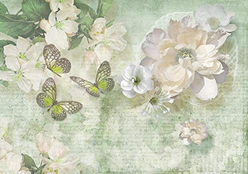 wandmotiv24 Photo murale Fleurs papillons vert clair XS 150 x 105cm - 3 pièces photo, papier peint non tissé Vintage, diamants, dessin M1754